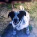 Profile Picture of George Beehner (@george.beehner.1) on Facebook
