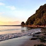 Profile Picture of Roger Ruf (@gamerbeastchrono) on Instagram