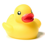 Profile Picture of Pato Zepeda (@peta zeta photo) on Flickr