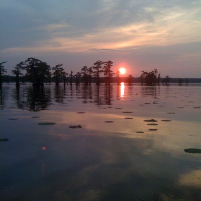 Profile Picture of Michael Roark (@Michael41401472) on Twitter