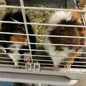 Profile Picture of Carly Helm (@carlyjohelm) on Youtube