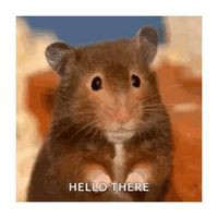 Profile Picture of Jeri Mason (@jeri-mason) on Quora