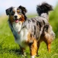 Katelynn Peterson - Quora Profile Picture of Katelynn Peterson (@katelynn-peterson-6) on Quora