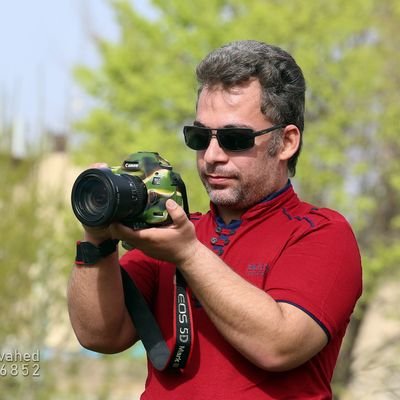 Amir Taghavi - Twitter Profile Picture of Amir Taghavi (@amir_taghavi_tv) on Twitter