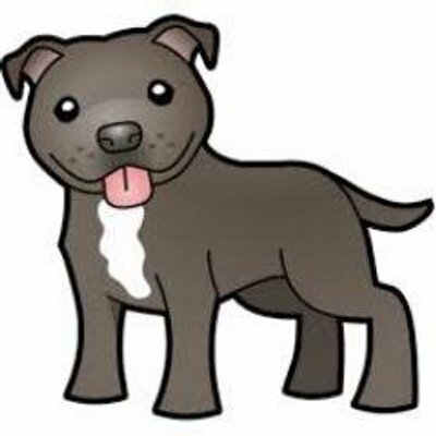 Profile Picture of Natedogg Cellular (@nathanevert) on Twitter