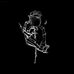 Profile Picture of Clair Thompson (@clair.thompson.756) on Facebook