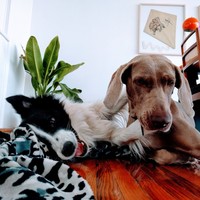 Kristina Walters - Quora Profile Picture of Kristina Walters (@kristina-walters-3) on Quora