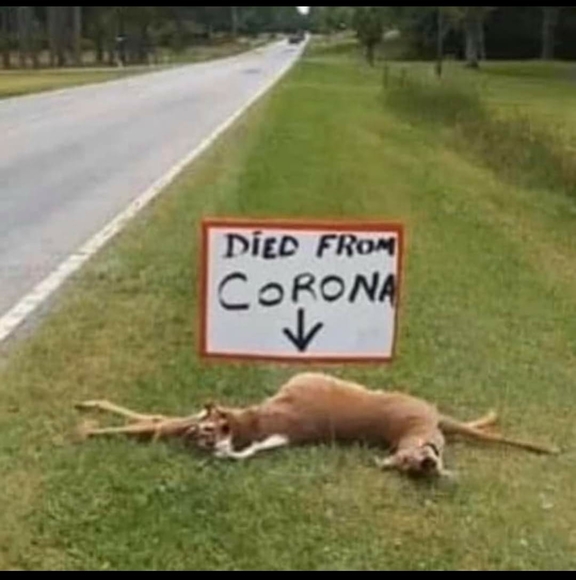 Profile Picture of Joshua Welch (@joshuawelch571) on Poshmark