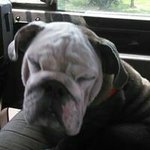 Profile Picture of Jason Thelen (@thelenjason) on Instagram