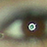 Profile Picture of Josiane  Trajano De Albuquerque Silva (@josiane.albuquerque) on Flickr