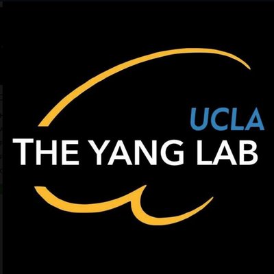 Profile Picture of Dr. Isaac Yang Lab (@TheYangLab1) on Twitter