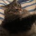 Profile Picture of Patricia Legere (@plegere1) on Pinterest