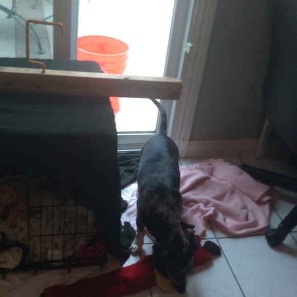 Profile Picture of Lily Foster (@lilyfoster1129) on Poshmark