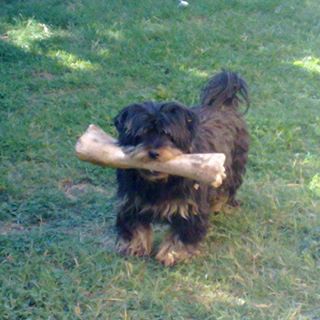 Profile Picture of Annarita Ambrosetti (@annarita.ambrosetti) on Facebook