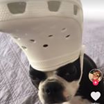 Profile Picture of Matthew Spencer (@matthewspencer8732) on Instagram