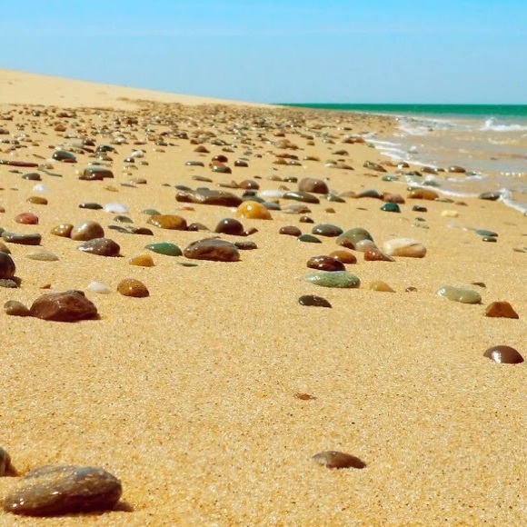 Iliyana Popova - Poshmark Profile Picture of Iliyana Popova (@anichkaa) on Poshmark