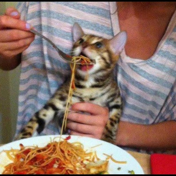 Profile Picture of Alissa Shay (@alisshay198) on Poshmark