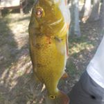 Profile Picture of Joseph Kelleher (@joseph.kelleher.9) on Instagram