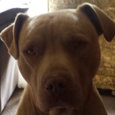 Profile Picture of Dave Mahony (@mahony_dave) on Twitter