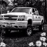 Peter Kolbe - Instagram Profile Picture of Peter Kolbe (@kolbe_peter) on Instagram