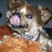 Profile Picture of Hugh Shultz (@hugh.shultz) on Facebook