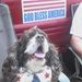 Profile Picture of Joann Scala (@jscala07) on Pinterest
