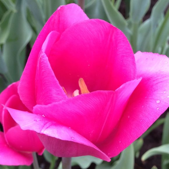 Profile Picture of Danielle Boyer (@danib10) on Poshmark