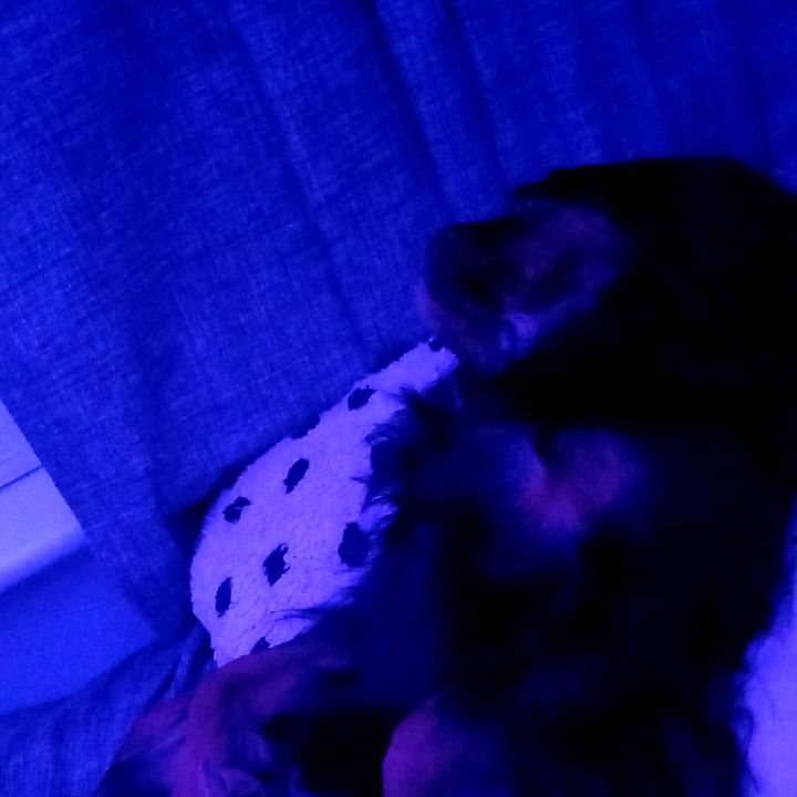 Profile Picture of Harrison Holdsworth (@harrison.holdswor) on Tiktok