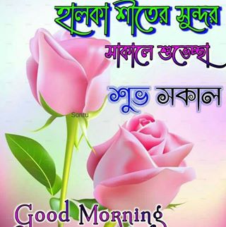 Profile Picture of Ankit Roy (@Ankit-Roy) on Facebook