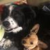 Profile Picture of Trudy Falk (@trudy.falk.3) on Facebook