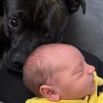 Profile Picture of Darren Mcfadden (@daz_mac_ep) on Instagram