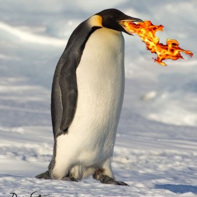 Profile Picture of DaveTheShade (@DaveTheShade1) on Twitter
