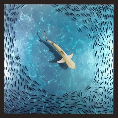 Profile Picture of Thedarkwatergallery (@finsbrighton1) on Twitter