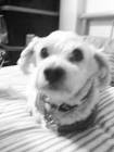 Profile Picture of   Amber spring... (@xxxleavemexxx_001) on Tiktok