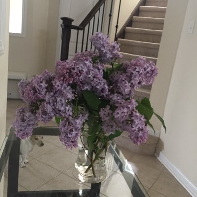 Profile Picture of Catherine Hebert (@bejeezer) on Twitter
