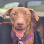 Profile Picture of Amanda Bremser (@amandabremser) on Instagram