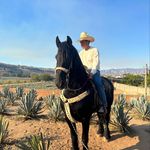 Profile Picture of Gabriel Grajeda (@grajeda_g07) on Instagram