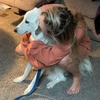 Profile Picture of Haley Mccormack (@@hmccormack3) on Tiktok