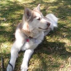 Profile Picture of Miguel Angel Fabela (@MiKe_F_C) on Twitter