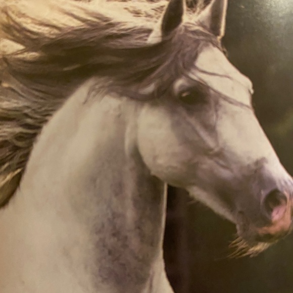 Profile Picture of Robyn Offill (@robynoffill) on Poshmark