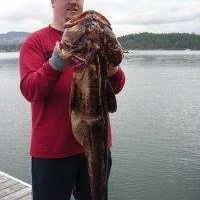 Profile Picture of jasonwestlund (@@jasonwestlund) on Tiktok