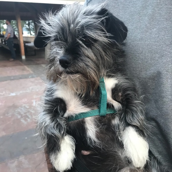 Profile Picture of Heather Werlein (@heatwerl) on Poshmark