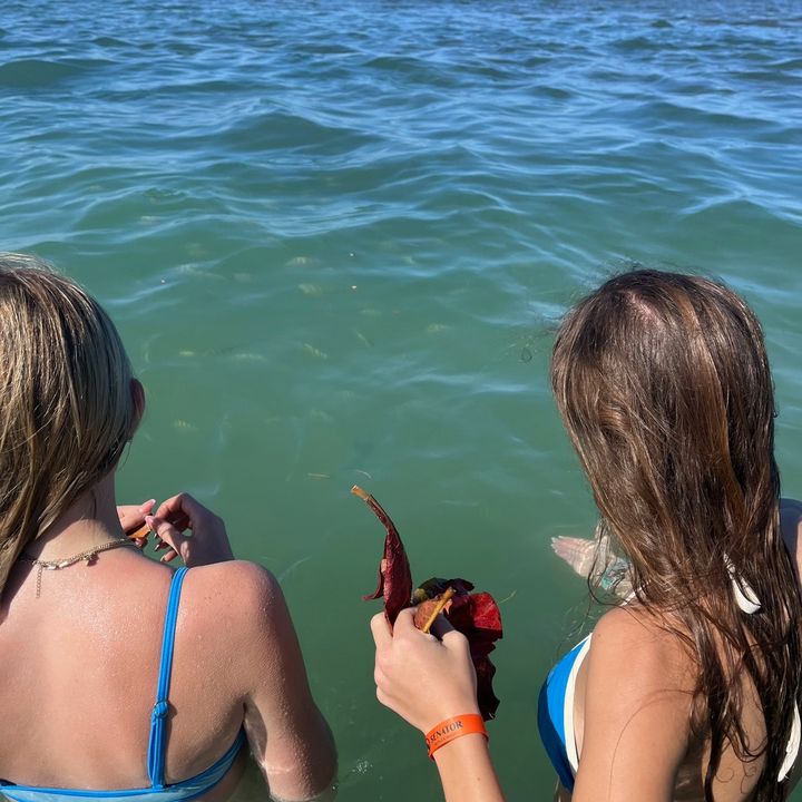 Profile Picture of leah (@.leahmorrow) on Tiktok