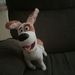 Profile Picture of Matthew Toth (@toth0319) on Pinterest