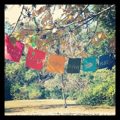 Profile Picture of Kristen E. Koch (@kristenkoch) on Twitter