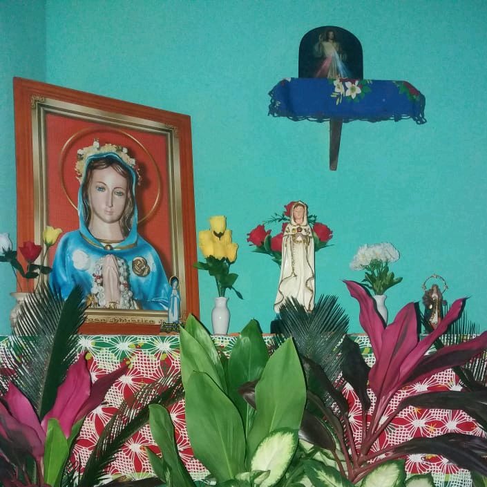 Profile Picture of Flora Colman (@@floracolman) on Tiktok