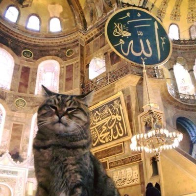 Profile Picture of Hawa Abdullah (@hawaZAR) on Twitter