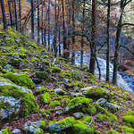 Profile Picture of Juan Antonio Rebollo (@jara_wanderlust) on Flickr