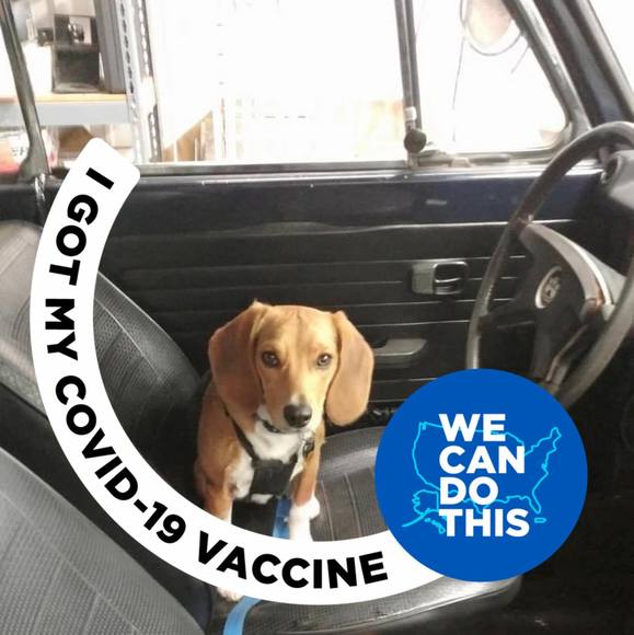 Profile Picture of Reba jones Palmer (@okcpalmer) on Poshmark