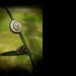 Profile Picture of hugh_holmesh (@hugh_holmesh) on Instagram